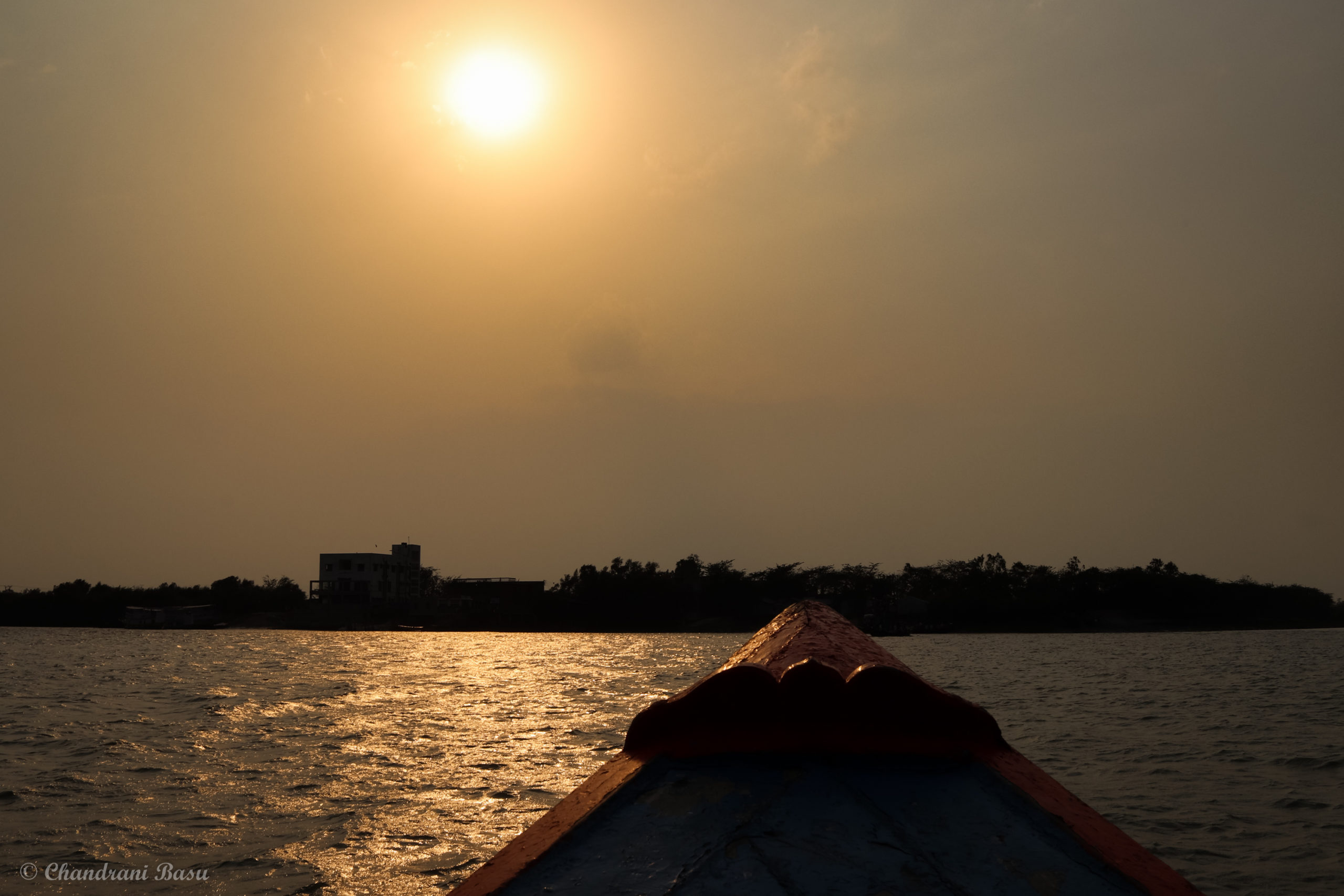 You are currently viewing The Mysterious Sundarbans
