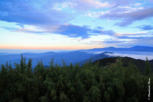 Read more about the article Darjeeling In The Monsoon