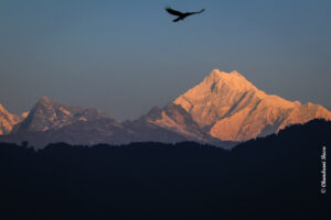 Read more about the article Gangtok And Around – Changu Lake, Nathula Pass & More