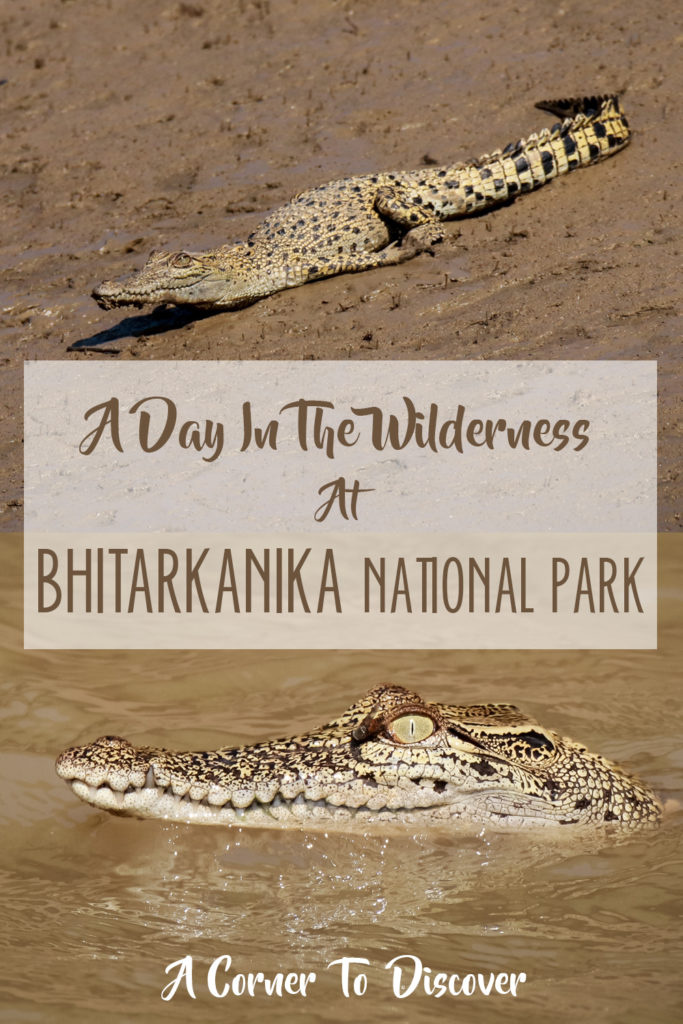 Bhitarkanika National Park Pinterest Image