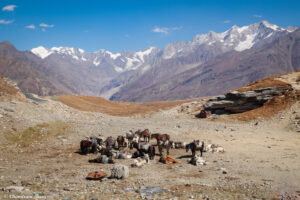 Read more about the article Beautiful Drive To Rohtang Pass & Solang Valley