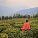 3-Day South & West Sikkim Itinerary – Namchi, Ravangla, Pelling