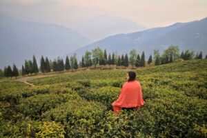 Read more about the article 3-Day South & West Sikkim Itinerary – Namchi, Ravangla, Pelling